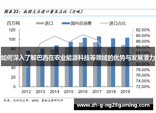 如何深入了解巴西在农业能源科技等领域的优势与发展潜力