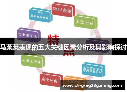 马莱莱表现的五大关键因素分析及其影响探讨