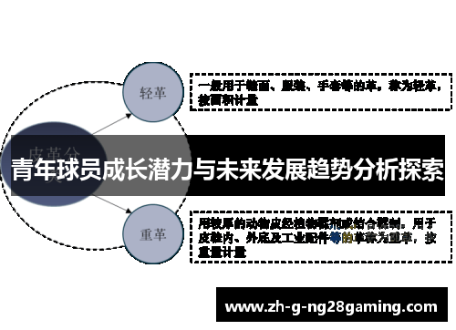青年球员成长潜力与未来发展趋势分析探索