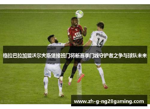 格拉巴拉加盟沃尔夫斯堡接班门将新赛季门线守护者之争与球队未来