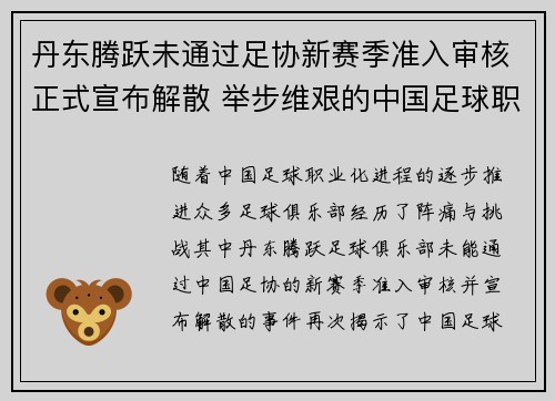 丹东腾跃未通过足协新赛季准入审核正式宣布解散 举步维艰的中国足球职业化困境再现