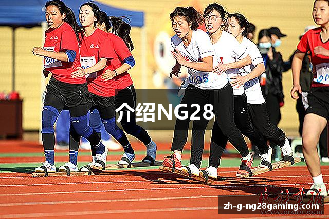 介绍NG28